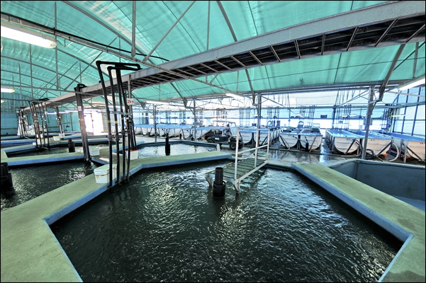 서울물탱크수리